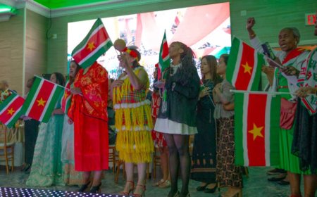 President roept diaspora in VS op mee te helpen aan ontwikkeling