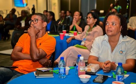 Nieuwe kansen voor Surinaamse olie- en gassector belicht in masterclass