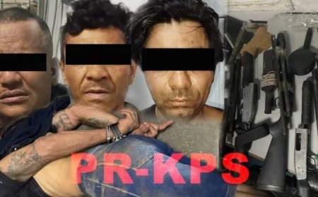 Braziliaanse roversbende en taxichauffeur opgerold