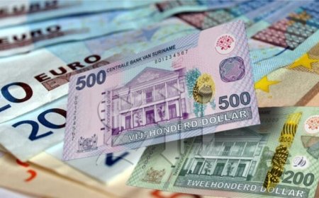 Dief slaat toe in woning van 77-jarige bewoonster