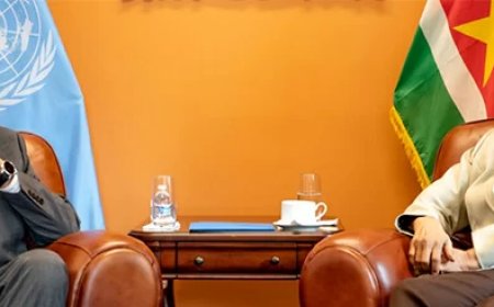 Staatshoofd krijgt toezegging PAHO-steun voor zorgplannen