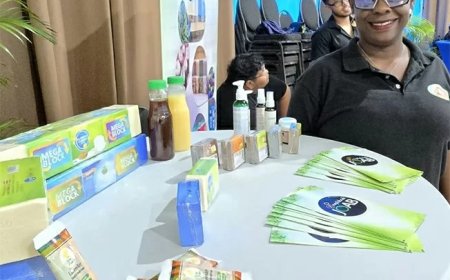 Van frituurvet tot frisse zeep: Omzetten afval in duurzaamheid