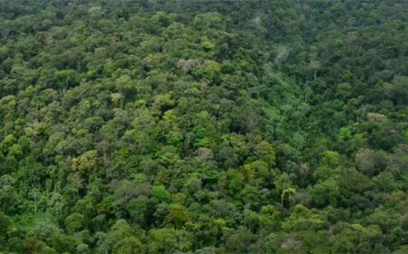 Column: Brownsberg kan toetssteen worden voor Surinames groene beloftes