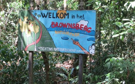 Brownsberg Natuurpark is geen beschermd natuurgebied meer