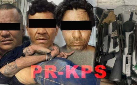 Braziliaanse rovers gearresteerd