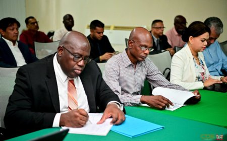 IDB-workshops bieden tools voor aanpak luchtvaartproblemen