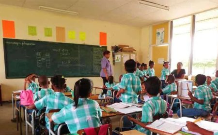 Onderwijs als politiek speelgoed