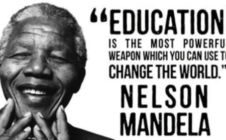 Welk systeem brengt ontwikkeling