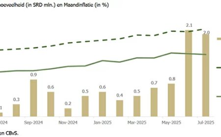 Begrotingstekort blijft motor achter inflatie en wisselkoersdruk
