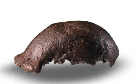 Nederland geeft archeologisch topstuk terug aan Indonesië