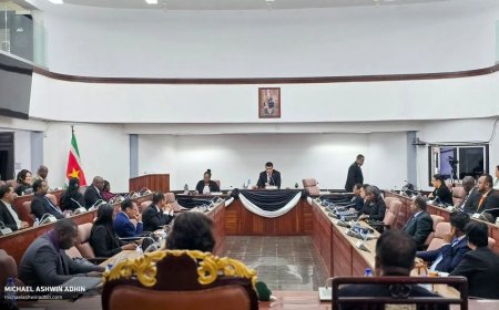 Nationale Assemblee eert Djwalapersad