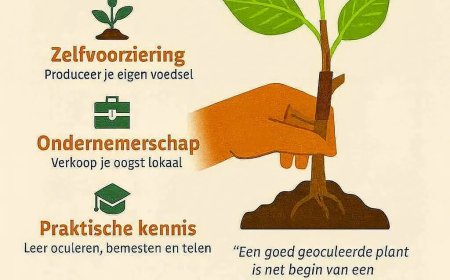 Groeien met kennis over oculeren