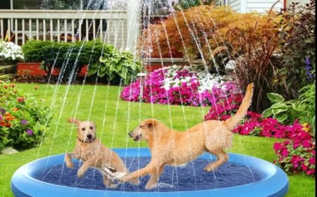 Ongekende hitte in Suriname treft mens én dier