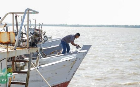 Illegale visserij drukt zwaar op sector