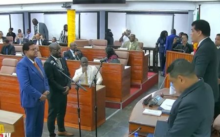 Santokhi na urenlange discussie toegelaten tot DNA