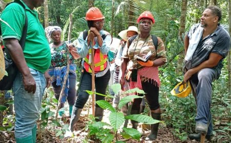 Nieuw leven voor eeuwenoude Surinaamse sector