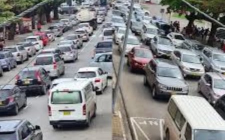 Alweer verkeerschaos bij Jaarrede