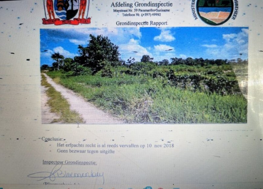 Onderzoek wijst uit dat landmeter Winter niet de schuldige is in kwestie-Reeberg