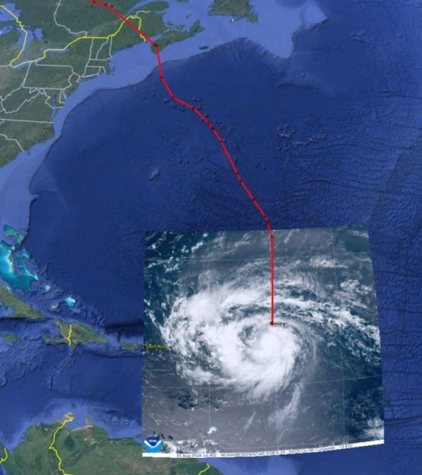 Red Knot (Calidris canutus) laat indrukwekkende migratie zien