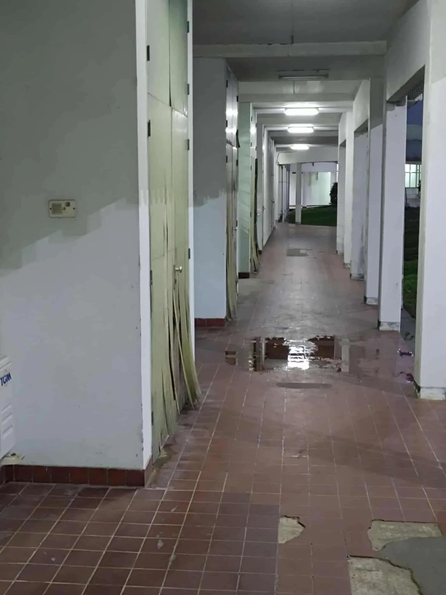 Kinderafdeling AZP in erbarmelijke staat: “Onwaardig voor zieke kinderen”