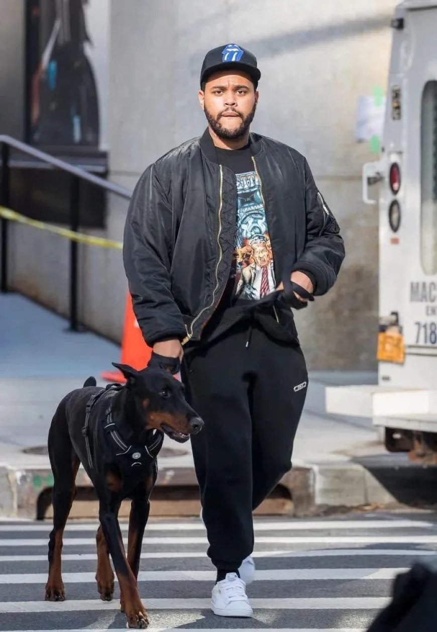 The Weeknd als eerste artiest met 5 miljard Spotify-streams voor één nummer