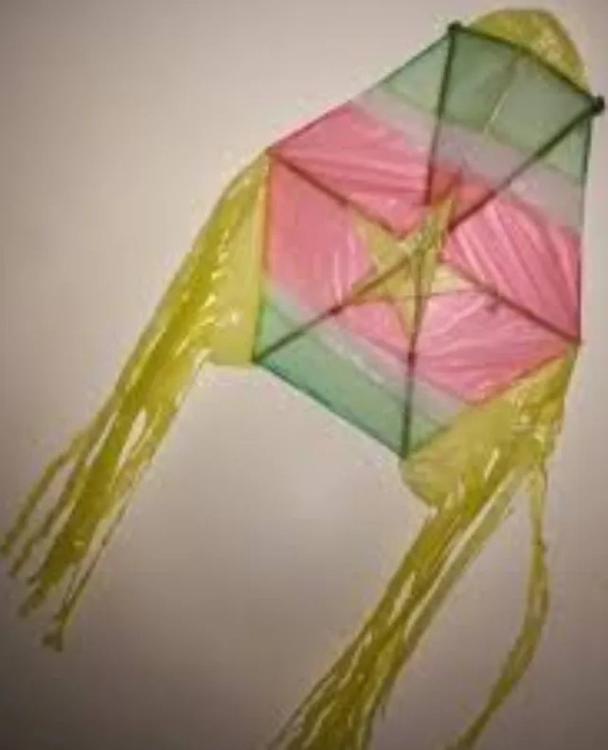 Vakantie in Suriname, maar waar zijn de vliegers gebleven?