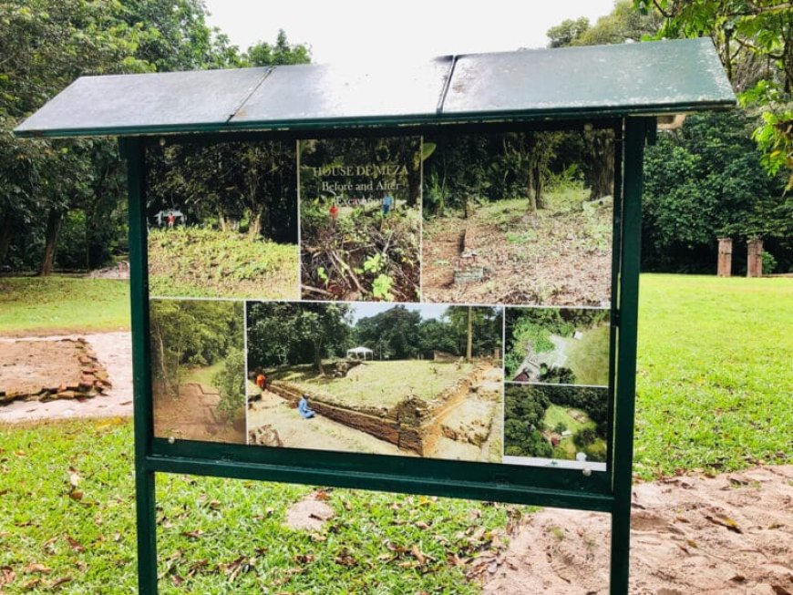 Wijngaarde: ‘Laat Jodensavanne dienen als een openluchtklaslokaal’