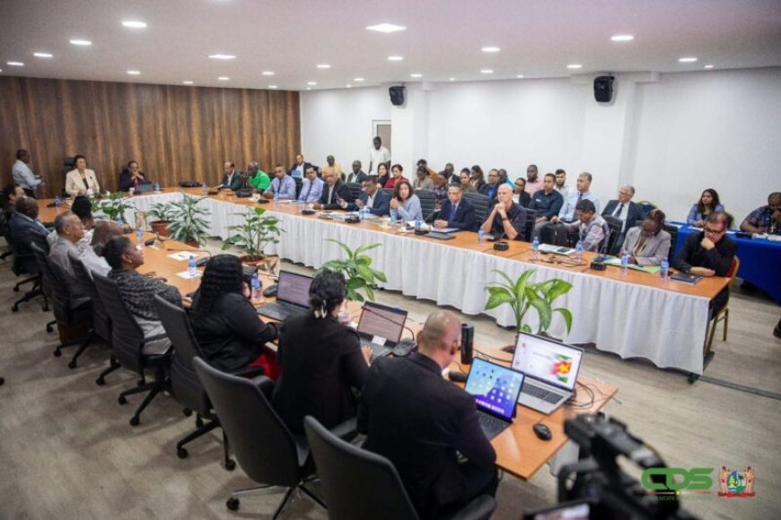 BESCHOUWING — Een sprankje (valse) hoop voor de SLM (2)