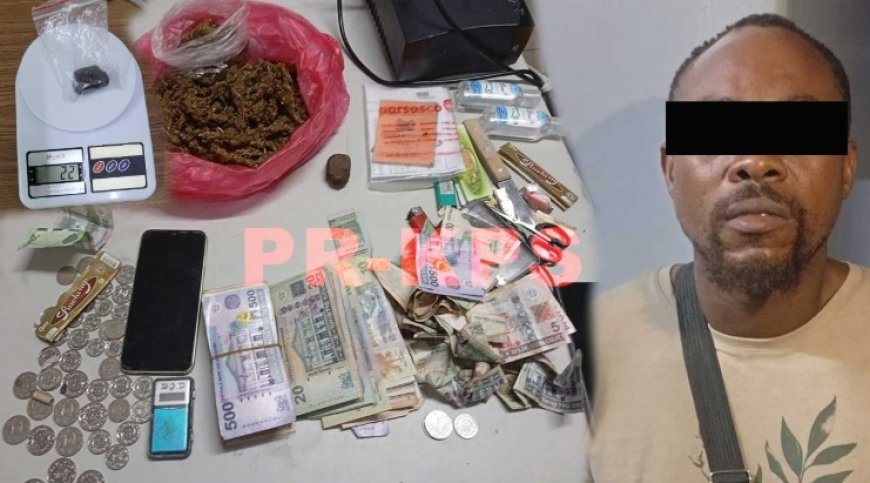 Drugsverkoper PL-eindhalte Lelydorp opgesloten