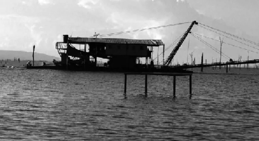 Geen scalians in rivieren; wel gereguleerde scalian activiteiten op het stuwmeer