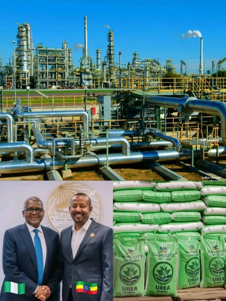 Dangote investeert in meststoffencomplex in Ethiopië