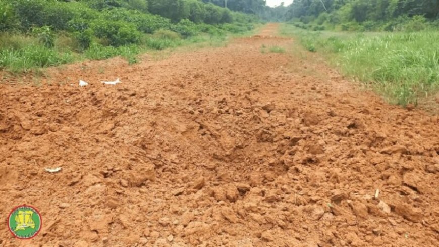 Illegale landingsbanen: veiligheidsdiensten dweilen met de kraan open