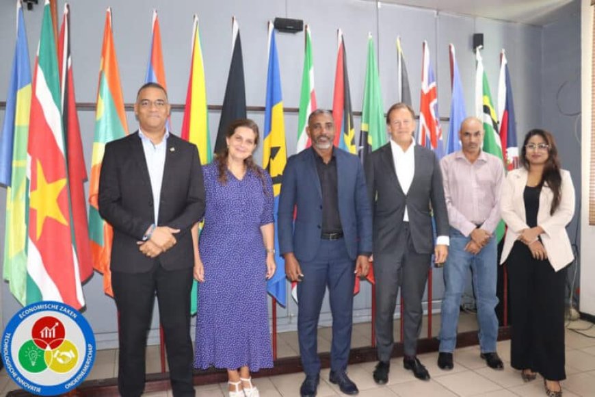 Suriname Energy Chamber brengt kennismakingsbezoek aan minister Baasaron
