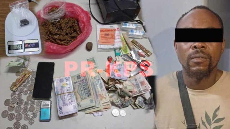 Drugsverkoper aangehouden bij PL-eindhalte Lelydorp