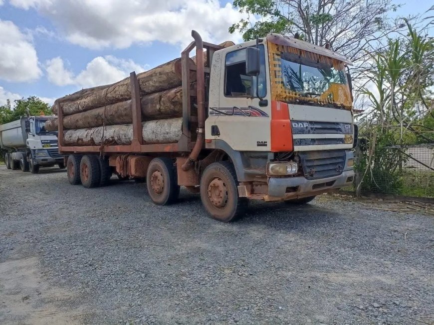 Overbeladen houttruck in beslag genomen op Welgedacht A-weg
