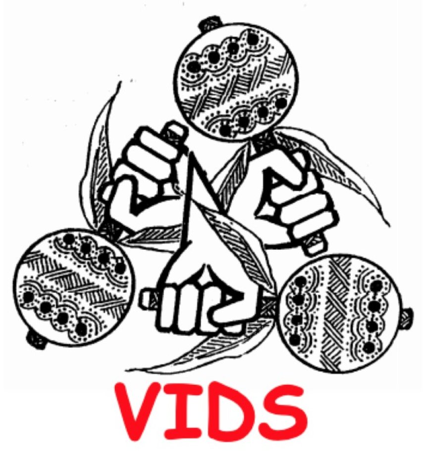 VIDS-resoluties 2025 toetsen aan recht: wat kan nú al, wat vergt wetswijziging