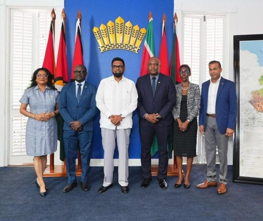Guyanese president Ali en BIS-minister Bouva bespreken versterken vriendschappelijke banden