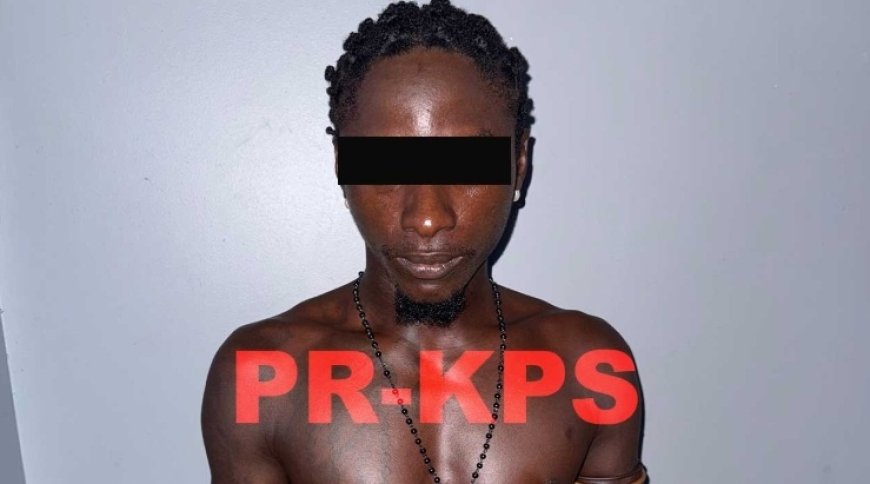 Verdachte ‘Tenki’ na vier maanden gearresteerd