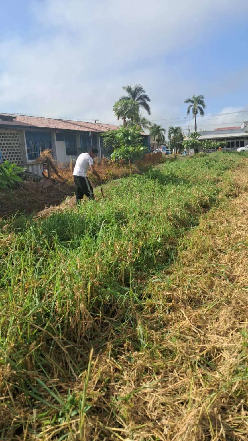 Burgers Nickerie vragen om aandacht voor schuttingen scholen