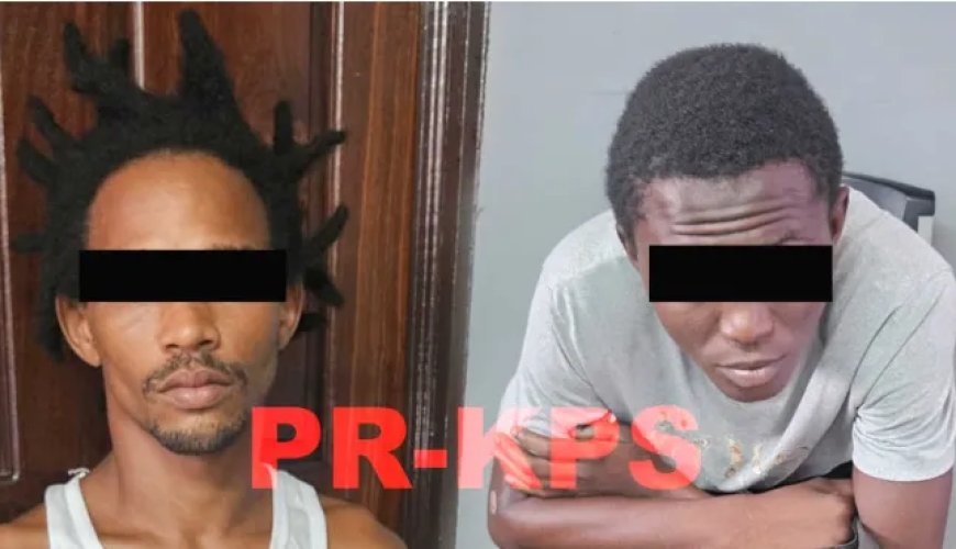 Twee 30-jarige notoire inbrekers aangehouden