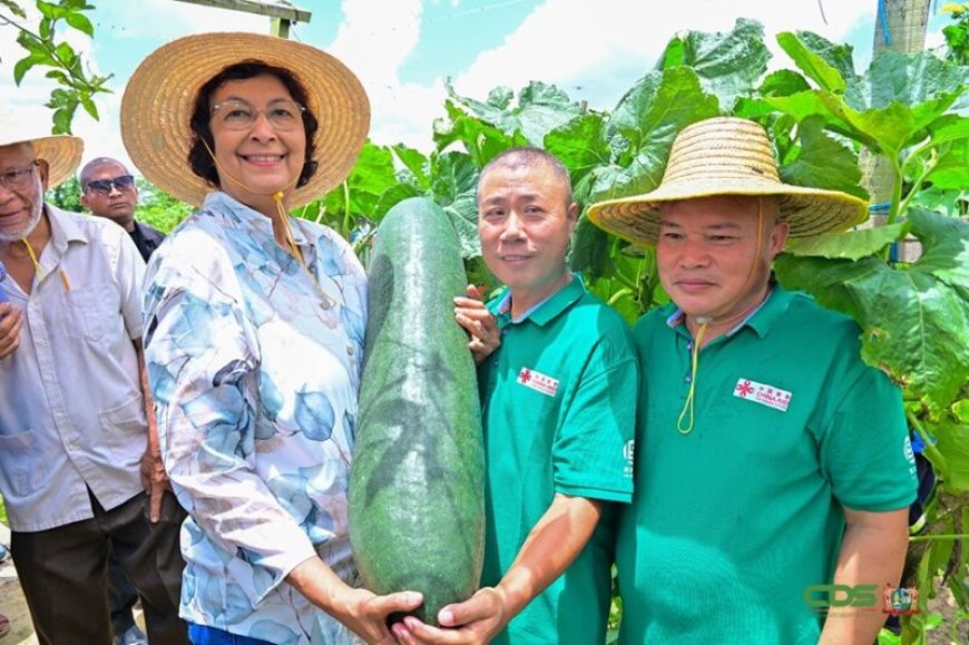 BESCHOUWING — China pakt Suriname opnieuw in