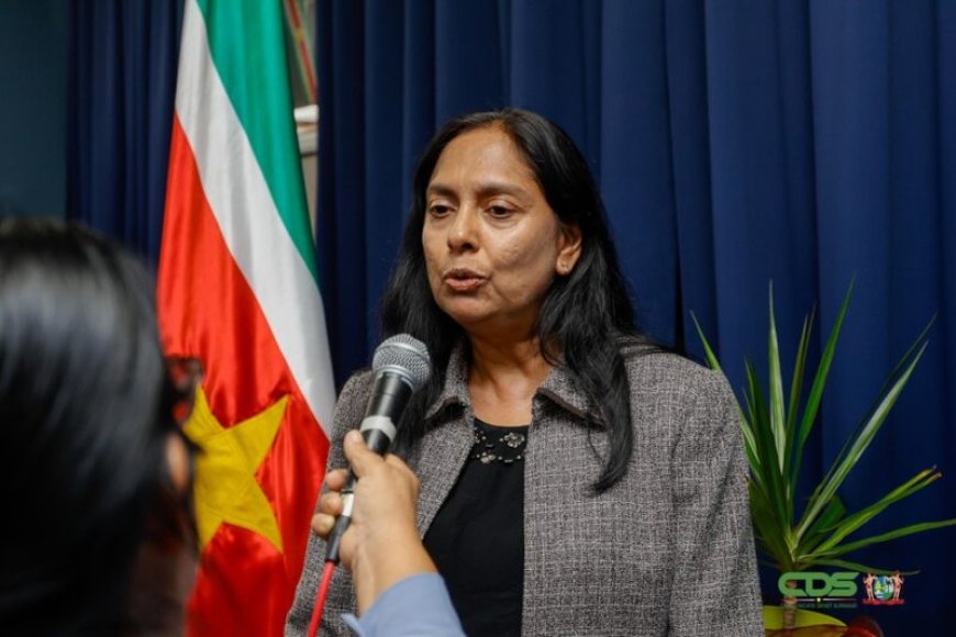 BREAKING — Directeur Bureau voor de Staatsschuld legt functie neer