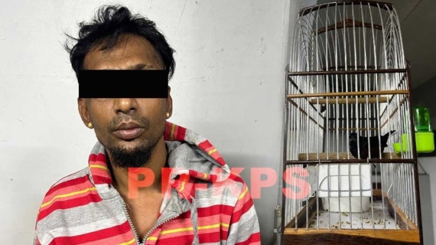 Bouwvakker eigent zich zangvogel toe