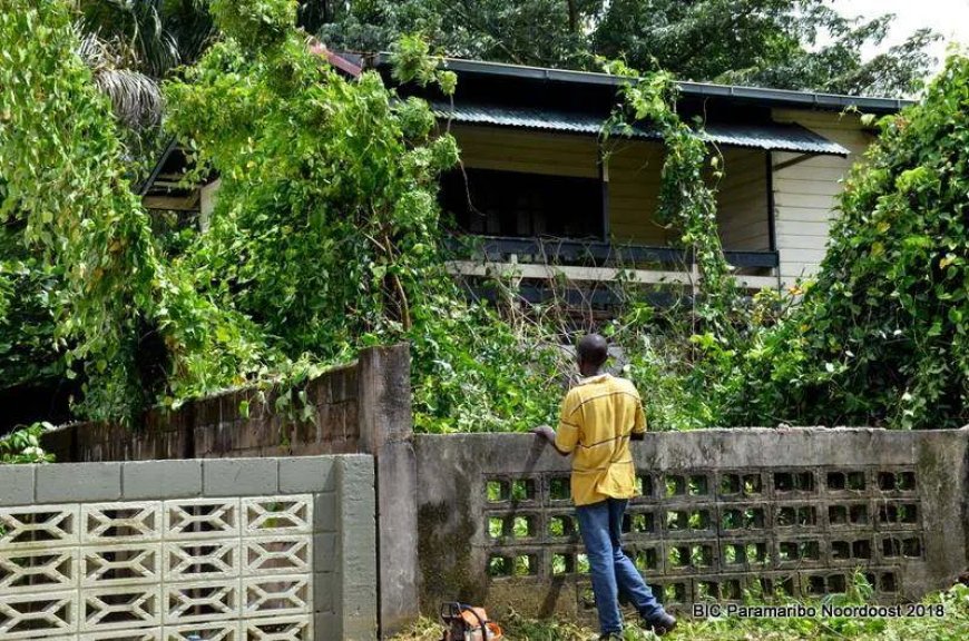 We kweken zelf ongedierte op ons erf