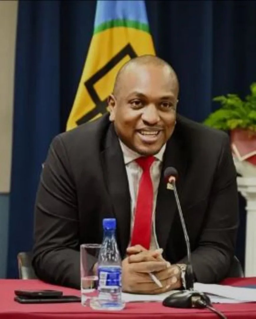 Politiek benoemde ambassadeurs krijgen contract voor duur detachering