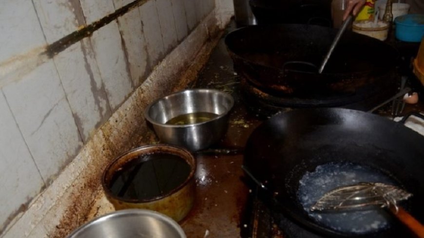 Eten tussen de kakkerlakken