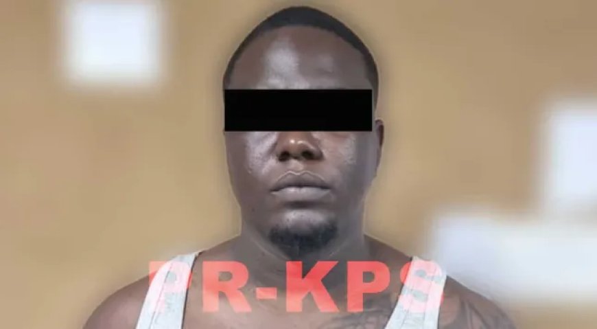 Man opgepakt voor mishandelen van zijn vriendin