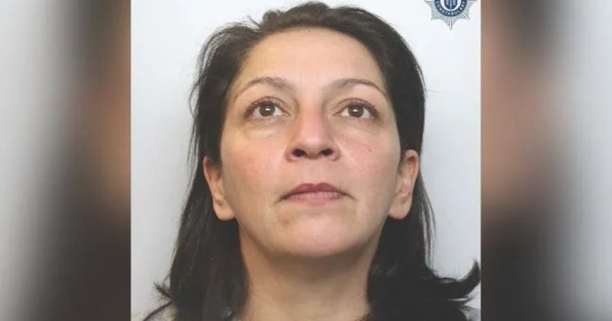 Dronken vrouw doodt hond van zoon met samoeraizwaard