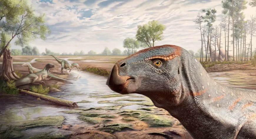 Nieuwe soort iguanodon ontdekt in Portugal 