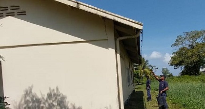 Brandweer bestrijdt bijen in Commewijne richting nieuw schooljaar